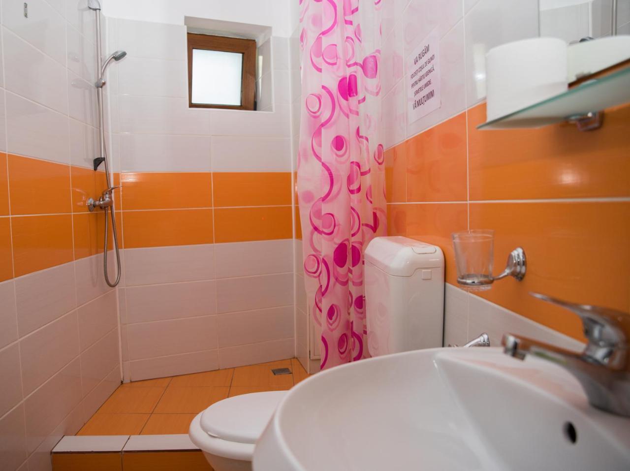 Vila Alegria Buşteni Dış mekan fotoğraf