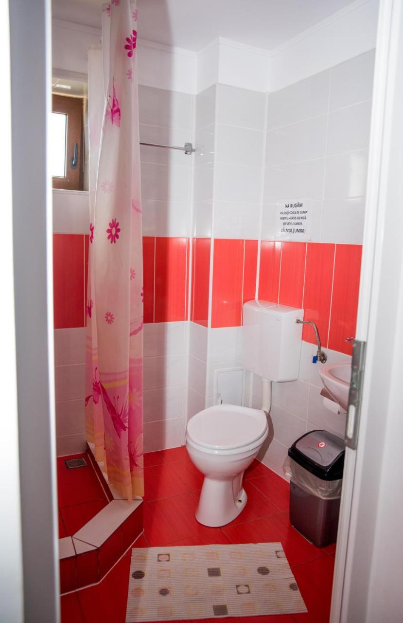 Vila Alegria Buşteni Dış mekan fotoğraf