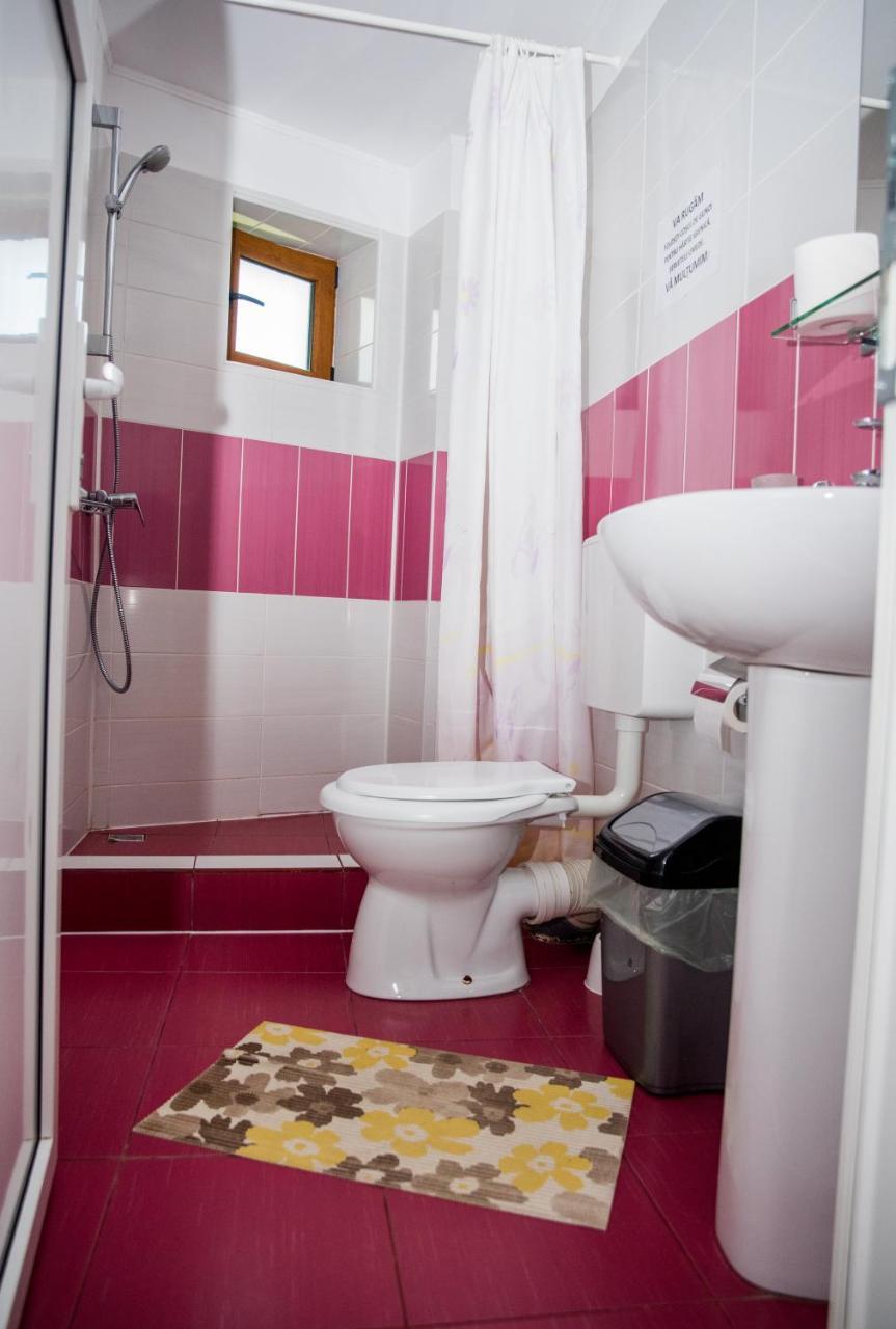 Vila Alegria Buşteni Dış mekan fotoğraf