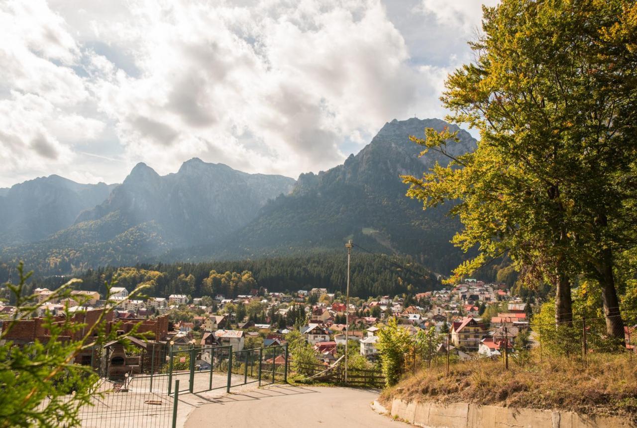 Vila Alegria Buşteni Dış mekan fotoğraf