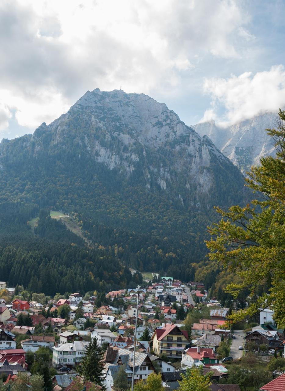 Vila Alegria Buşteni Dış mekan fotoğraf